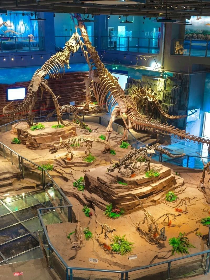 去北京特展參觀帝龍化石需要預(yù)約嗎？