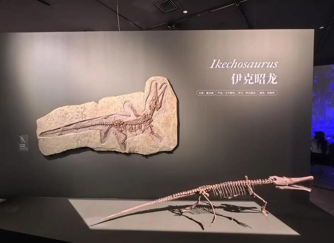 去北京特展參觀帝龍化石需要預(yù)約嗎？