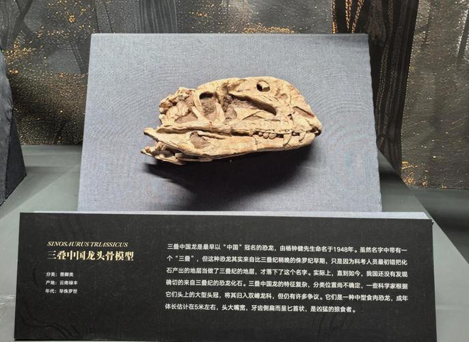 去北京特展參觀帝龍化石需要預(yù)約嗎？