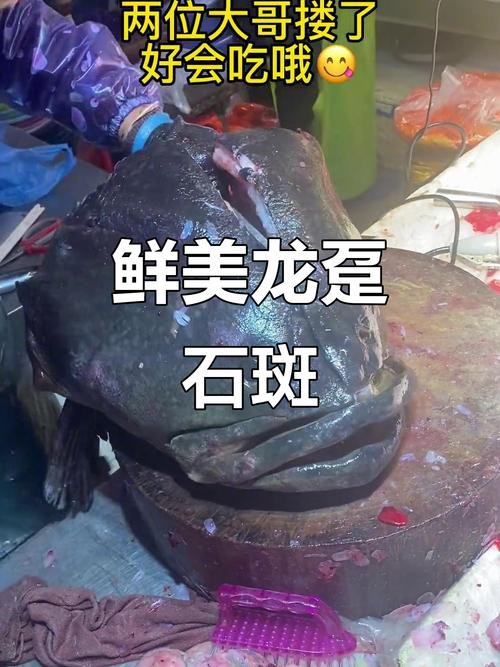 北海龍魚圖片