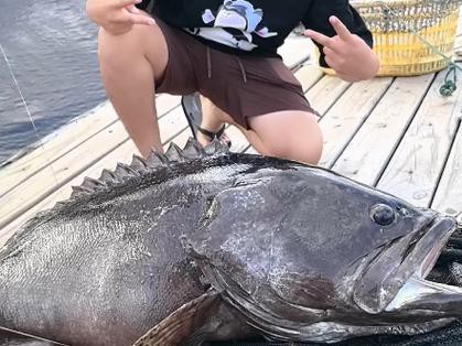 北海龍魚圖片