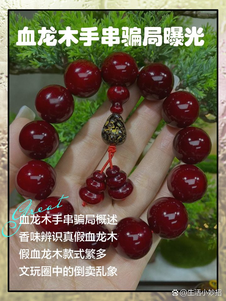 如何挑選高品質的血紅龍？
