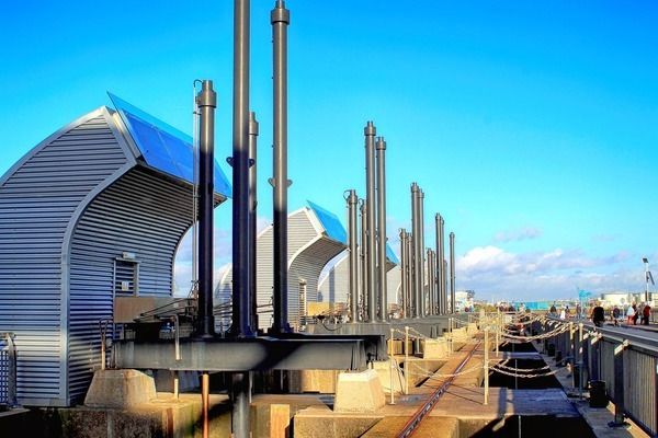 金龍魚吃飼料可以嗎（金龍魚活餌喂養技巧金龍魚活餌喂養技巧）