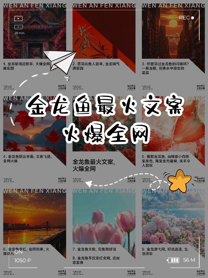 金龍魚的花語