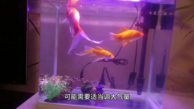 六角龍打氧泵清洗時需要注意什么？