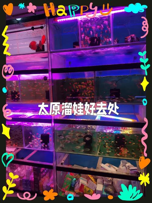太原龍魚生活館怎么樣啊