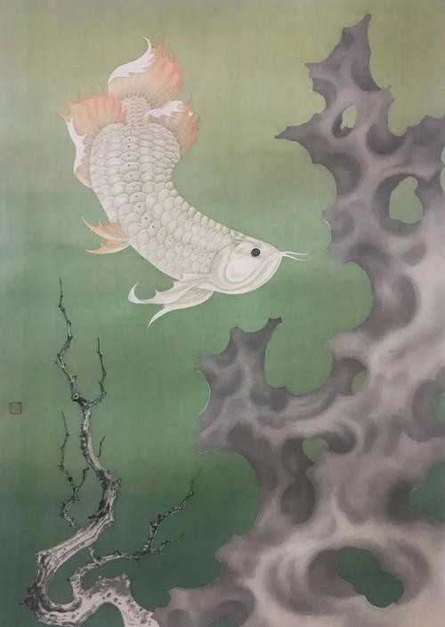 金龍魚的發(fā)色過程圖片大全大圖欣賞