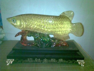 養金龍魚怎樣招財辟邪最好：養金龍魚可以通過選擇合適的位置、魚缸形狀、魚的數量和顏色