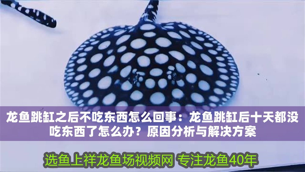 龍魚跳缸之后不吃東西怎么回事：龍魚跳缸后十天都沒吃東西了怎么辦？原因分析與解決方案