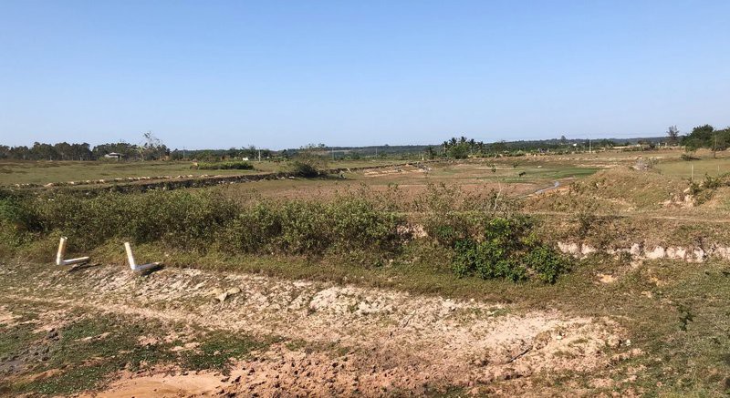 海口哪里養殖龍魚最多