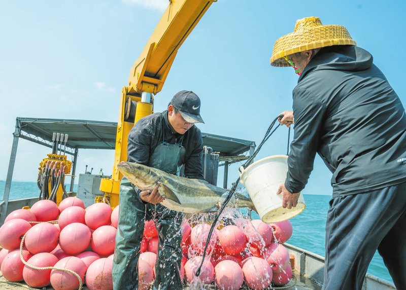 海口哪里養殖龍魚最多