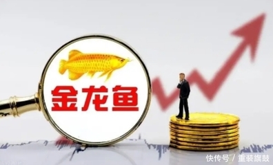 紅龍魚飼養(yǎng)技巧和方法圖解（紅龍魚飼養(yǎng)技巧和方法圖解大全）