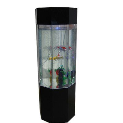 龍魚(yú)顏色變淺身體發(fā)白是什么病癥：龍魚(yú)顏色變淺和身體發(fā)白可能是由多種因素引起的