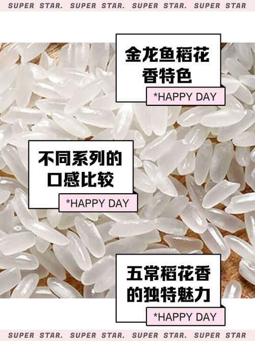 金龍魚香米好吃嗎好吃嗎