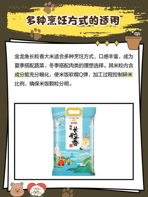 金龍魚香米好吃嗎好吃嗎