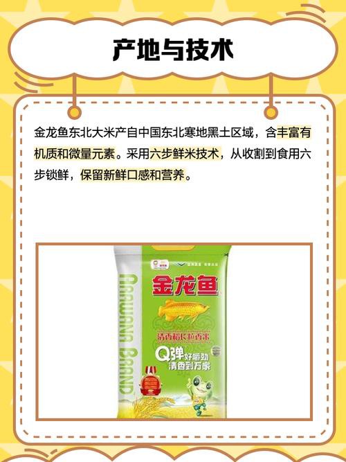 金龍魚香米好吃嗎好吃嗎
