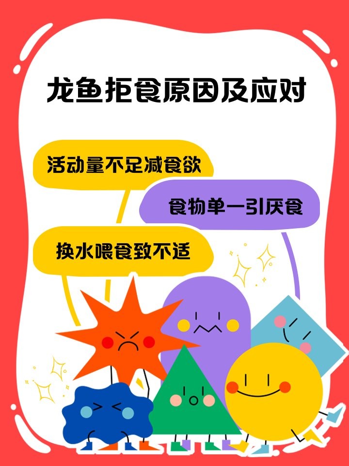 銀龍魚怎么不吃小魚 銀龍魚怎么不吃小魚 龍魚百科 第6張