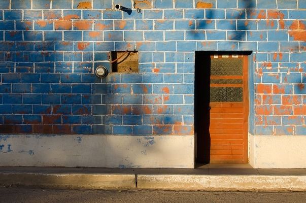 雷龍魚和金魚混養好嗎，雷龍魚和金魚可以混養嗎