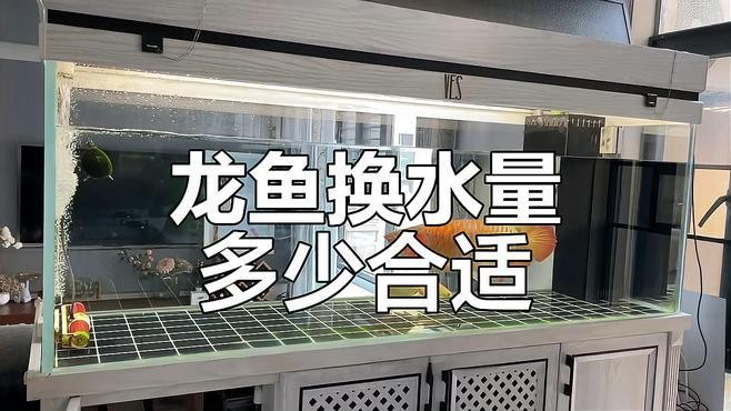 銀龍魚怎么換水冷水直接倒下去？