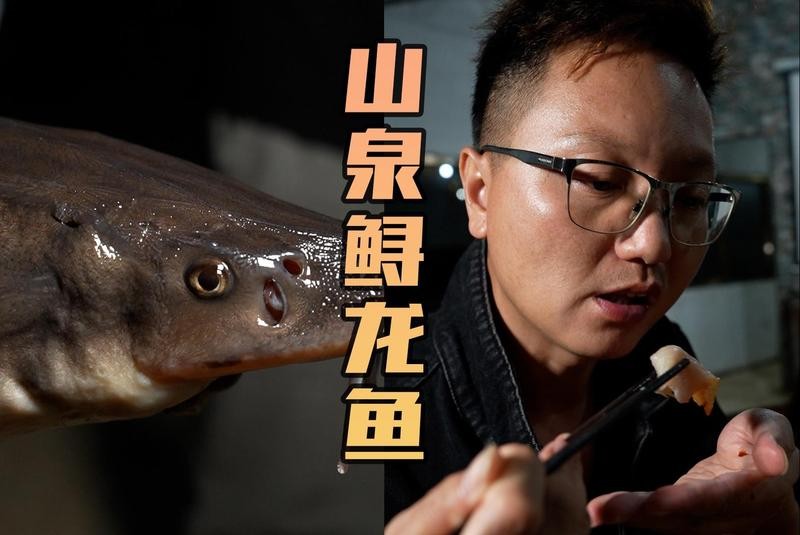 鱘龍魚可以做魚生嗎