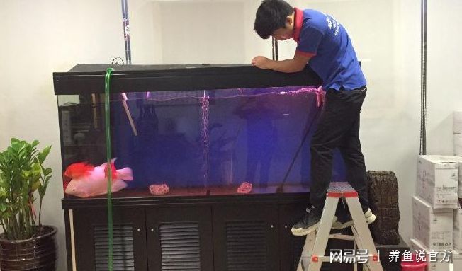 魚缸不換水可以放鹽嗎（如何判斷魚缸不換水的其他處理方法）