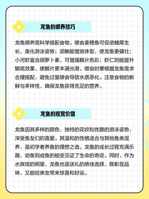 象鼻魚和龍魚混養好不好呢圖片 象鼻魚和龍魚混養好不好呢圖片 龍魚百科 第33張