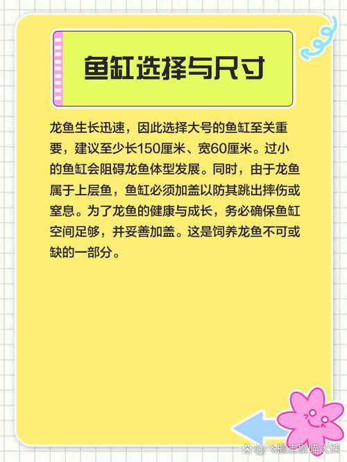 象鼻魚和龍魚混養好不好呢圖片 象鼻魚和龍魚混養好不好呢圖片 龍魚百科 第32張