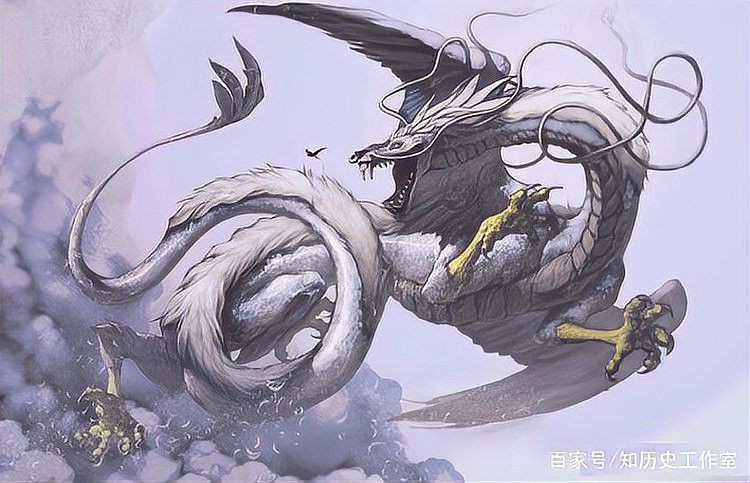 金龍和飛龍的區(qū)別