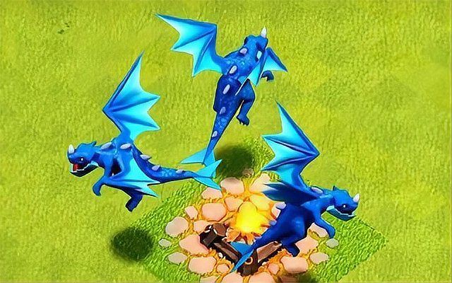 金龍和飛龍的區(qū)別