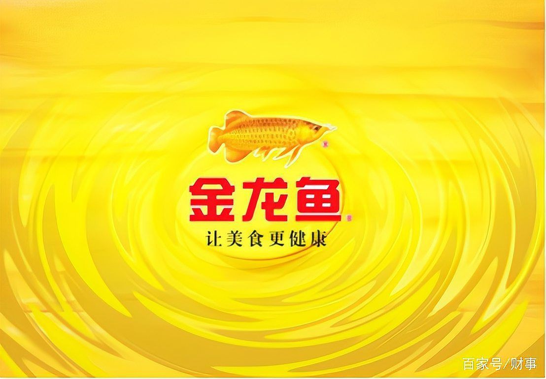 金龍魚公司和國企哪個好 龍魚百科 第1張 金龍魚公司和國企哪個好 金龍魚公司和國企哪個好 龍魚百科 第1張