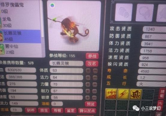 龍魚等級查詢網站，如何辨別龍魚芯片真偽,龍魚等級劃分標準介紹