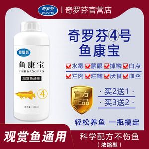 龍魚爛鰭爛尾用什么藥好：龍魚爛鰭爛尾的日常護理