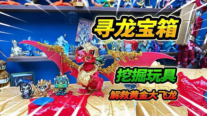 有哪些品牌的小火龍魚(yú)玩具推薦？