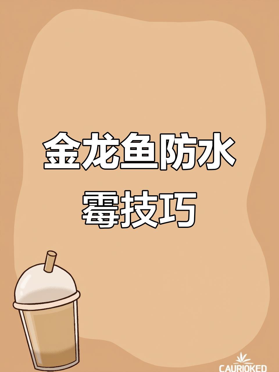 如何預防過背金頭龍魚疾病？