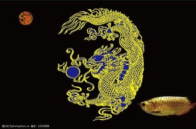 高檔龍魚背景圖案設計：高檔龍魚背景圖案設計建議和素材推薦：對于高檔龍魚背景圖案設計