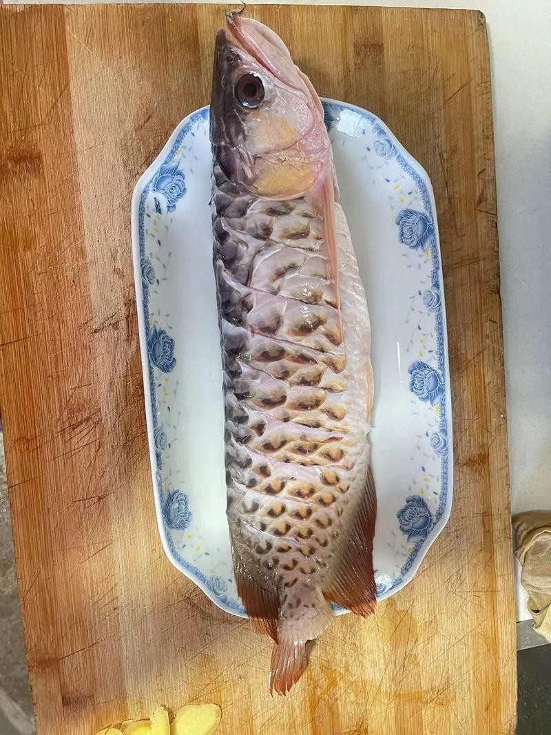 寧波龍魚怎么燒才好吃呢圖片 寧波龍魚怎么燒才好吃呢圖片 龍魚百科 第21張