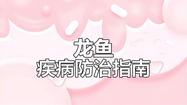 金龍魚(yú)怎么養(yǎng)才好