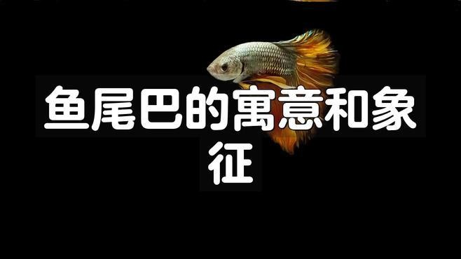 龍頭魚尾圖案在藝術(shù)中如何運用？