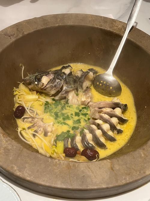 河北石家莊吃金龍魚 河北石家莊吃金龍魚 龍魚百科 第4張