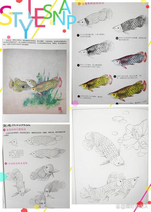 金龍魚簡筆畫素描