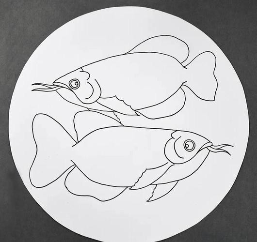 金龍魚簡筆畫素描