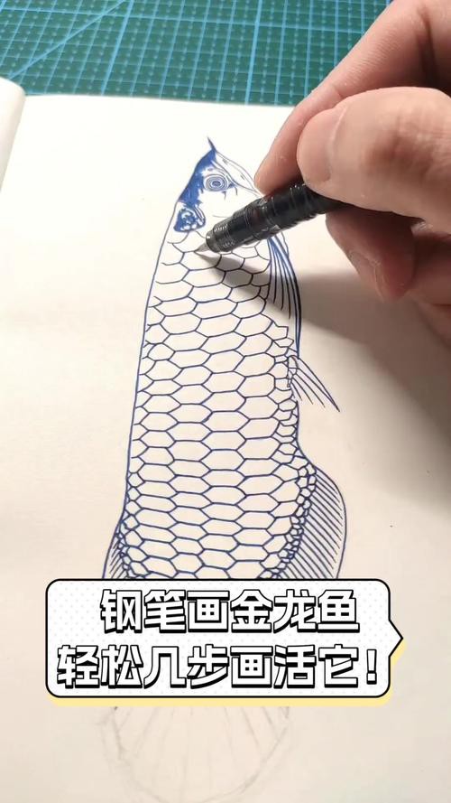 金龍魚簡筆畫素描