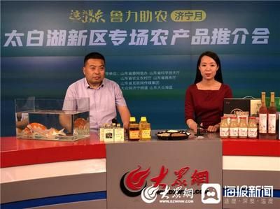大正錦鯉魚的日常養護要點（大正三色錦鯉日常養護需要注意以下幾個關鍵點）