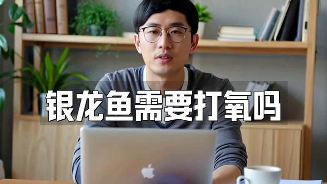 銀龍魚養殖需要哪些設備？