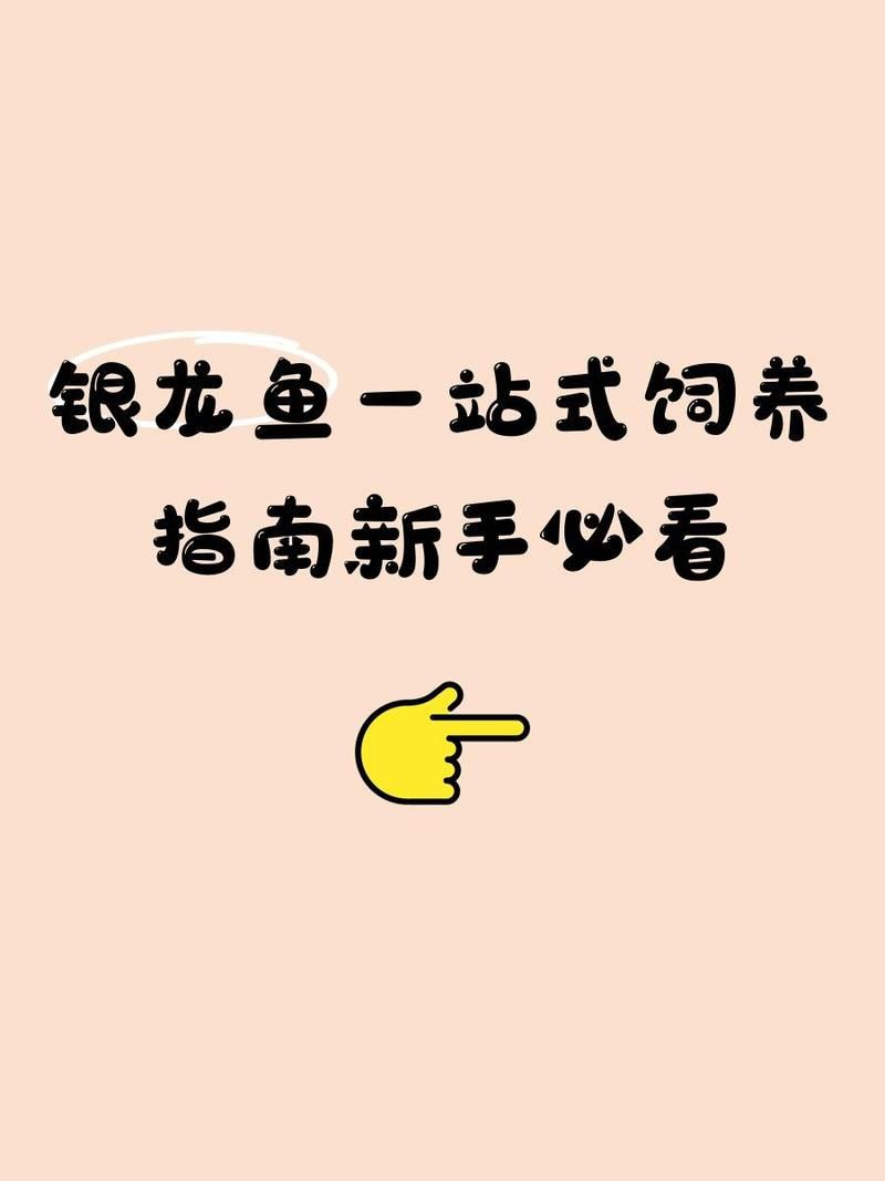 銀龍魚養殖需要哪些設備？