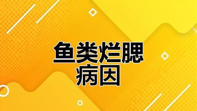 龍魚鰓蓋腐爛多久會死