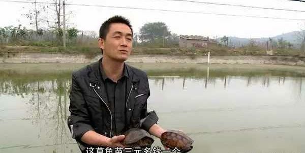 海南龍魚養(yǎng)殖技術(shù)創(chuàng)新案例：海南龍魚養(yǎng)殖技術(shù)創(chuàng)新案例介紹