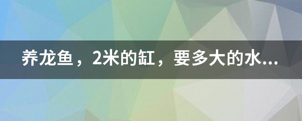 金龍魚突然不吃小魚了：金龍魚如何選擇適宜的水泵流量 金龍魚突然不吃小魚了：金龍魚如何選擇適宜的水泵流量 龍魚百科 第13張