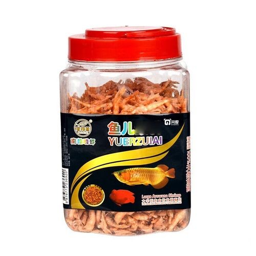 銀龍魚(yú)要吃什么食物好