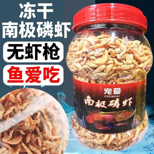 銀龍魚(yú)要吃什么食物好